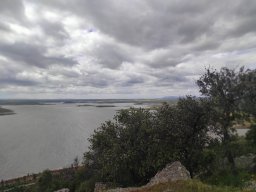 Flora del Cerro Masatrigo